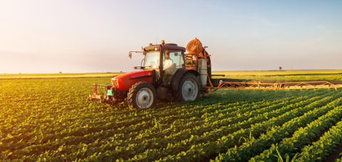 Agricoltura-