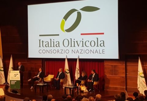 italia-olivicola-presentazione09ott2018mimmo-pelagalli-per-agronotizie