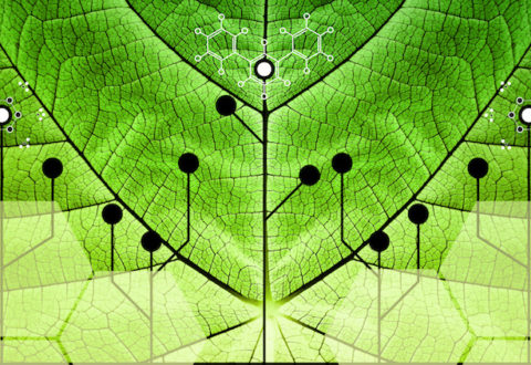 Biomimicry - Nature and Technology - Hybrid Nature - Abstract Illustration