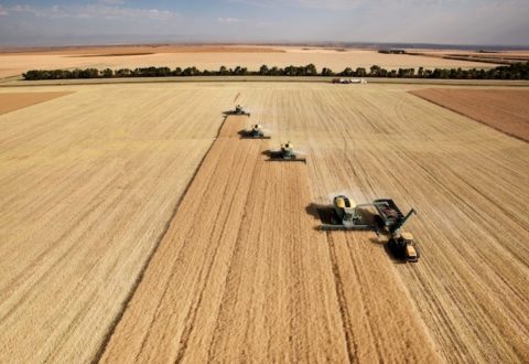 agricoltura-campo-grano-raccolto-trattori-macchine-agricole-tyler-olson-fotolia-4681x3183