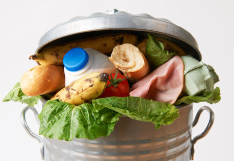 Fresh Food In Garbage Can To Illustrate Waste