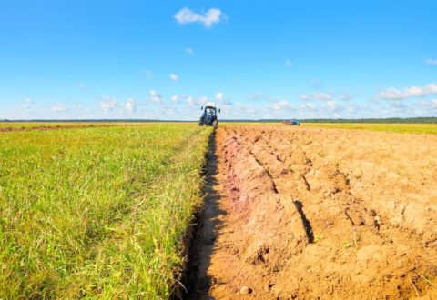 agricoltura-campo-agricolo-trattore-by-hramovnick-fotolia-750