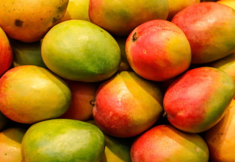 A lot of red fresh mango fruits