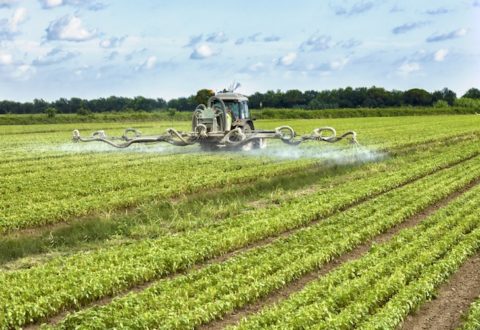 agrofarmaci-fitosanitari-distribuzione-by-federico-rostagno-fotolia-750