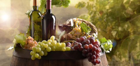 Bottles of wine with barrel on vineyard