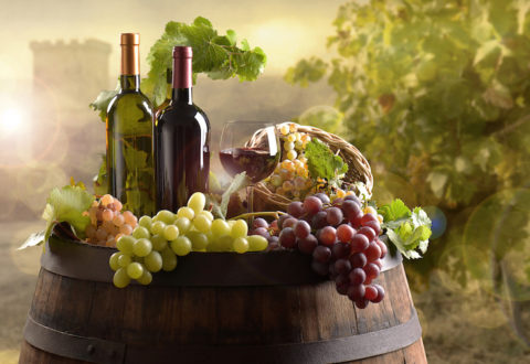 Bottles of wine with barrel on vineyard