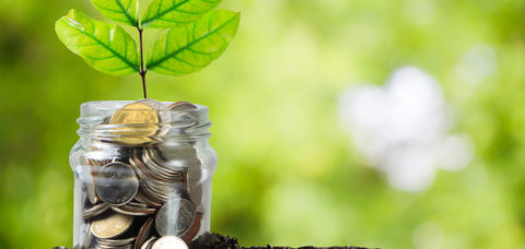 Savings money jar full of coins on soil /Plant Growing In Savings Coins/ investment and etirement or education Concept