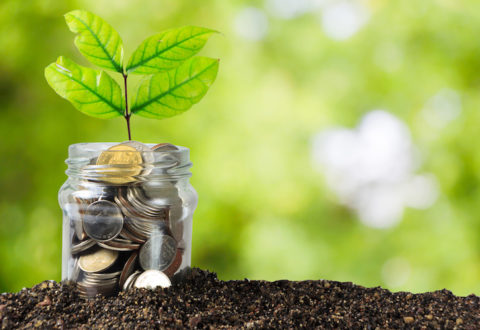 Savings money jar full of coins on soil /Plant Growing In Savings Coins/ investment and etirement or education Concept