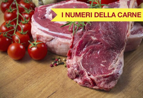 numeri-della-carne